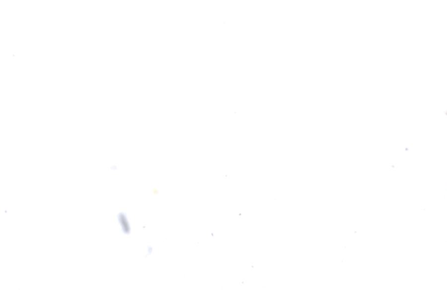 Image 13